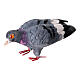 Pigeon penché en avant terre cuite crèche napolitaine 12-14 cm s3