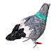 Pigeon debout terre cuite crèche napolitaine 12-14 cm s4