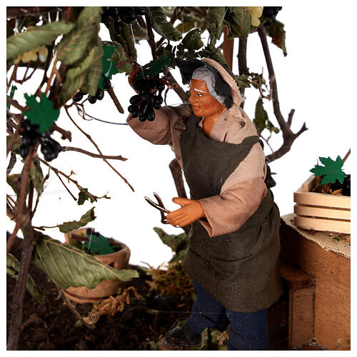 Grape gatherer in motion for 12 cm Neapolitan Nativity Scene 2