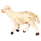 Assorted Sheep for Neapolitan Nativity Scene 8-10 cm s2