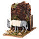 Asino che mangia in movimento 15x8x12 cm Presepe Napoletano 8-10 cm s2