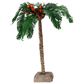 Medium palm tree, 25 cm, for Neapolitan Nativity Scene