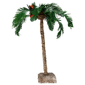 Medium palm tree, 25 cm, for Neapolitan Nativity Scene