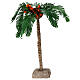 Medium palm tree, 25 cm, for Neapolitan Nativity Scene s1