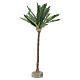 Medium palm tree, 25 cm, for Neapolitan Nativity Scene s2