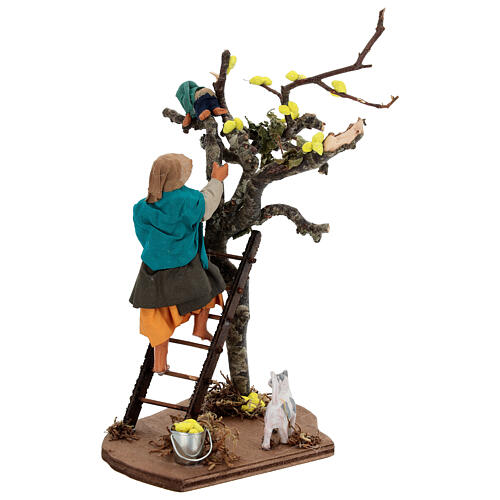 Woman on a ladder and child on a tree for 13 cm Neapolitan Nativity Scene 4