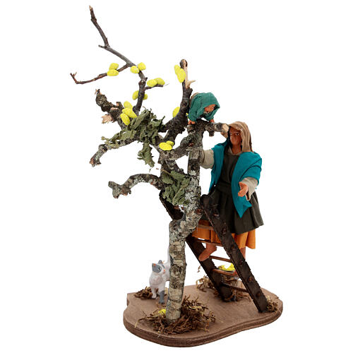 Femme sur échelle et enfant sur arbre crèche napolitaine de 13 cm 1