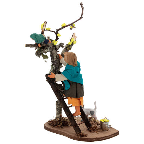 Femme sur échelle et enfant sur arbre crèche napolitaine de 13 cm 3