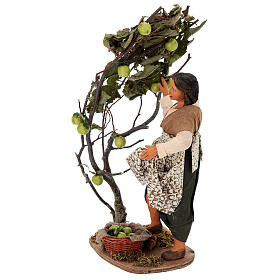 Femme cueillant des pommes crèche napolitaine 30 cm