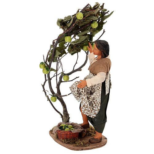 Donna che raccoglie le mele presepe napoletano da 30 cm 2