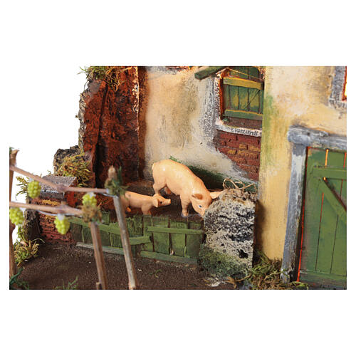 Casa viñedo y cerdos 25x40x30 cm belén napolitano 10-12 cm 2