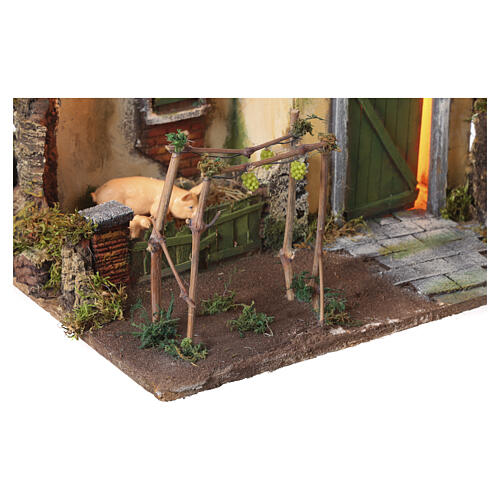Casa viñedo y cerdos 25x40x30 cm belén napolitano 10-12 cm 4
