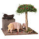 Cena com porcos em movimento 15x15x15 cm para presépio napolitano de 12 cm s3