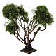 Verzweigter Baum – 18 cm, geeignet für eine 12–14 cm Krippe, neapolitanischer Stil s3