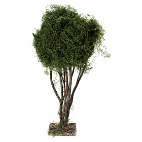 Green tree of 25 cm for 12-14 cm Neapolitan Nativity Scene