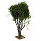 Árbol verde 25 cm belén napolitano 12-14 cm s3