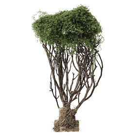 18 cm olive tree for Neapolitan Nativity Scene with 12-14 cm characters