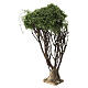 18 cm olive tree for Neapolitan Nativity Scene with 12-14 cm characters s3