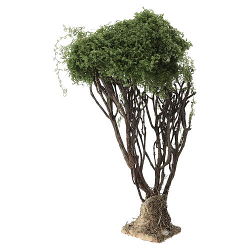 Árbol olivo 18 cm belén napolitano 12-14 cm 3