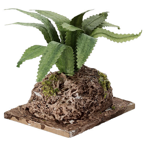 Agave auf Fels – 10 × 8 × 5 cm, geeignet für eine 12–14 cm Krippe, neapolitanischer Stil 3