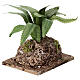 Western agave on rock, 10x8x5 cm, for 12-14 cm Neapolitan Nativity Scene s3