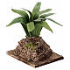Agave occidentale su roccia 10x8x5 cm presepe napoletano 12-14 cm s2