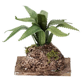 Agave ocidental em rocha 10x8x5 cm presépio napolitano 12-14 cm