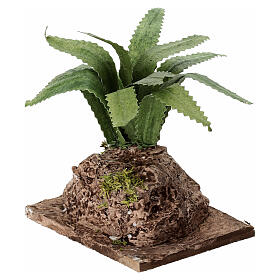 Agave ocidental em rocha 10x8x5 cm presépio napolitano 12-14 cm