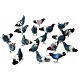 Animali presepe colomba assortita 1 cm presepe napoletano  s2