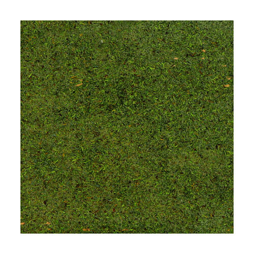 Papier zur Geländegestaltung mit Moos und Flechten – 70 × 50 cm 2