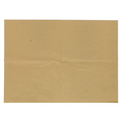 Carta prato con muschio e lichene  3