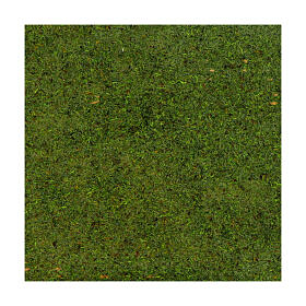 Papel para gramado com musgo e líquen