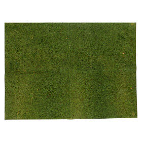 Grass paper with moss and lichen