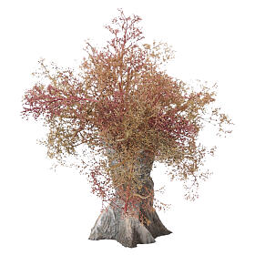 Albero di ulivo secolare 15x10 cm per presepe 8cm