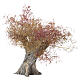 Albero di ulivo secolare 15x10 cm per presepe 8cm s1