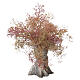 Albero di ulivo secolare 15x10 cm per presepe 8cm s2