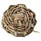 Cesto con grappoli di uva nera per presepe 8 cm 1x3 cm s4