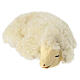 Terracotta sheep for 14-16 cm Neapolitan Nativity Scene s1