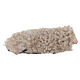 Set of 2 lying sheep in terracotta for 10-12 cm Neapolitan Nativity Scene s3
