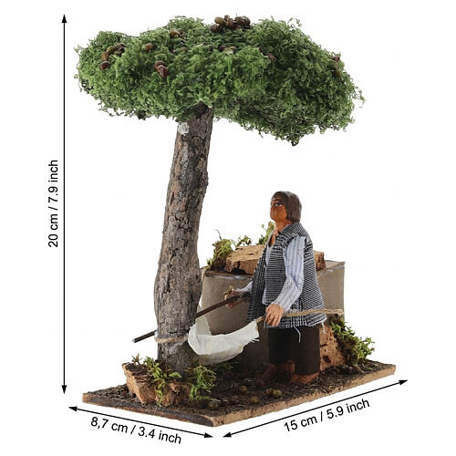 Uomo raccoglie olive 20x15x7 cm movimento presepe napoletano 10 cm 2