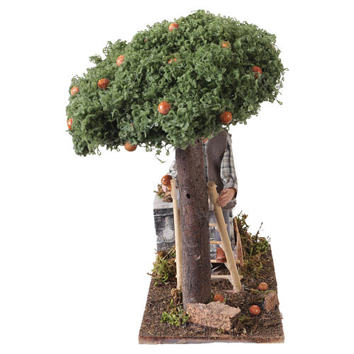 Raccoglitore arance 20x8x15 cm presepe napoletano 8-10 cm 5