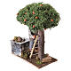 Raccoglitore arance 20x8x15 cm presepe napoletano 8-10 cm s4