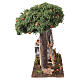Raccoglitore arance 20x8x15 cm presepe napoletano 8-10 cm s5