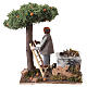Recolhedor de laranjas 20x8x15 cm para presépio napolitano 8-10 cm s1