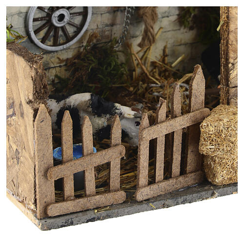 Stableman with cow, moving, Neapolitan Nativity Scene 17x20x17 cm for 8-10 cm figures 5