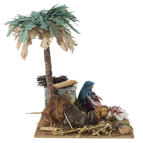 Chamelier au repos avec chameau 20x15x15 cm mouvement crèche napolitaine 8-10 cm 6