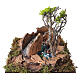 Large pond scene for 8 cm Neapolitan Nativity Scene, 20x20x20 cm s5