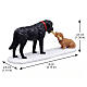 Who's Pulling Who? Lemax figurine, 1.4x3.2x1.1 in - 52524 s2