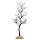 Morning Dew Tree Small albero innevato Lemax 16x8x8 cm - 74251 s1