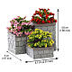 Flower Bed Boxes set 3 pezzi accessorio Lemax Caddington Village 5x5x5 cm - 84380 s2